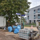zdjęcie nr 8