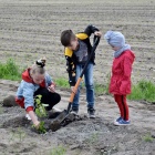 zdjęcie nr 21