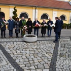 zdjęcie nr 5