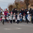 zdjęcie nr 15
