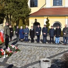 zdjęcie nr 12