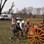 zdjęcie nr 43