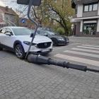 Fotka nr 5 z 13