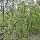 zdjęcie nr 9