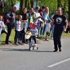 zdjęcie nr 25