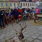 zdjęcie nr 19