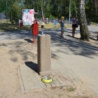 zdjęcie nr 12