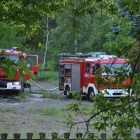 zdjęcie nr 8
