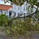 Wichury w powiecie kościańskim (2)