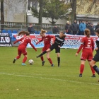 zdjęcie nr 17