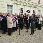 zdjęcie nr 78