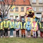 zdjęcie nr 19