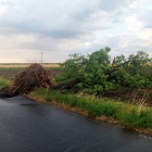 zdjęcie nr 17
