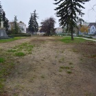zdjęcie nr 12