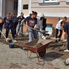 Sadzili rośliny przed urzędem (3)