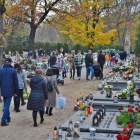 zdjęcie nr 14