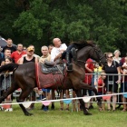 zdjęcie nr 80