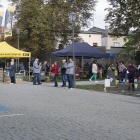 zdjęcie nr 50