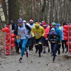 zdjęcie nr 20