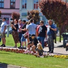 zdjęcie nr 26