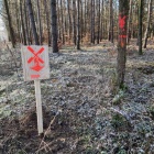 Trasy w gminie Śmigiel (4)
