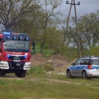 zdjęcie nr 10