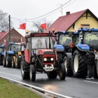 zdjęcie nr 13