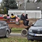 zdjęcie nr 52
