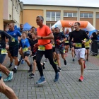 zdjęcie nr 15