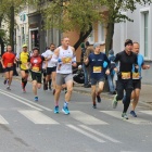 zdjęcie nr 6