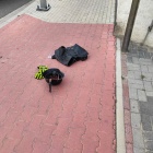 zdjęcie nr 11