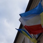 zdjęcie nr 12
