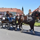 zdjęcie nr 18