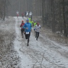 zdjęcie nr 53