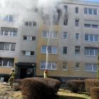 zdjęcie nr 11