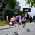 zdjęcie nr 146