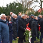 zdjęcie nr 6