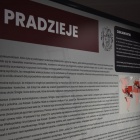 zdjęcie nr 22