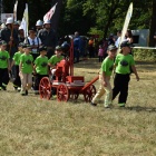 zdjęcie nr 22