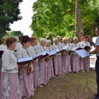 zdjęcie nr 35