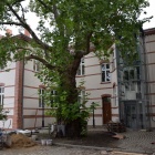 Remont elewacji urzędu dobiega końca