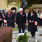 zdjęcie nr 37