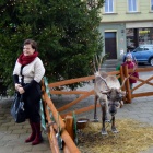 zdjęcie nr 70