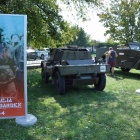 zdjęcie nr 55