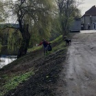 Sprzątanie Kościana przed świętami (4)