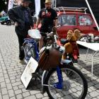 Fotka nr 4 z 125