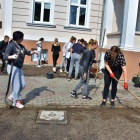 Sadzili rośliny przed urzędem (4)
