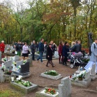 zdjęcie nr 12