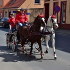zdjęcie nr 10