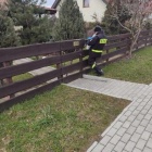 zdjęcie nr 8